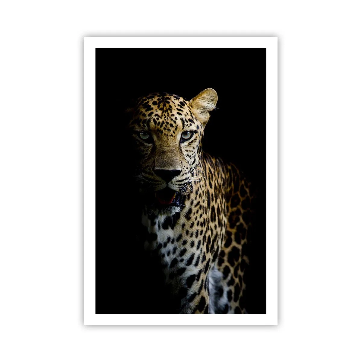 Poster - Dunkle Schönheit - 61x91 cm
