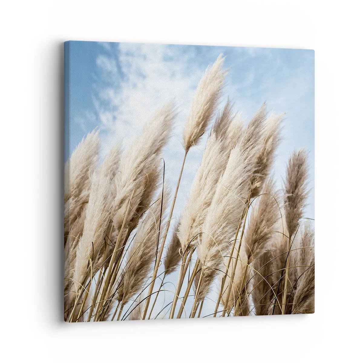 Bild auf Leinwand - Leinwandbild - Sonnige und windige Liebkosungen - 30x30 cm