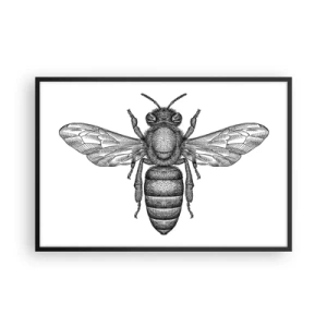 Poster in einem schwarzem Rahmen - Insektenporträt - 91x61 cm