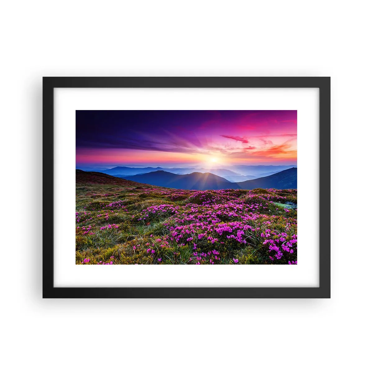 Poster in einem schwarzem Rahmen - Kräuter dufteten nach frischen Trauben von den Feldern - 40x30 cm