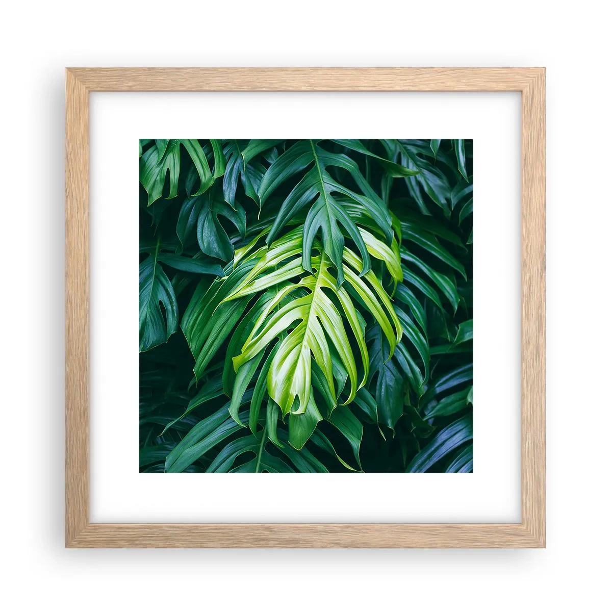 Poster in einem Rahmen aus heller Eiche - Tauchen Sie ein in die Frische - 30x30 cm