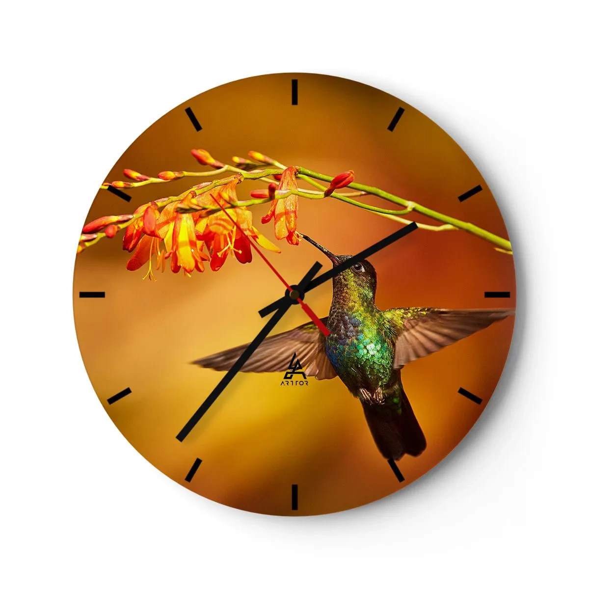 Wanduhr - Glasuhr - Ein Kolibri, der im warmen Licht von Blumen ernährt - 30x30cm - Ein Lichtbote nach den Maya - Moderne Wanddekoration für Wohnzimmer, Küche und Schlafzimmer ARTTOR