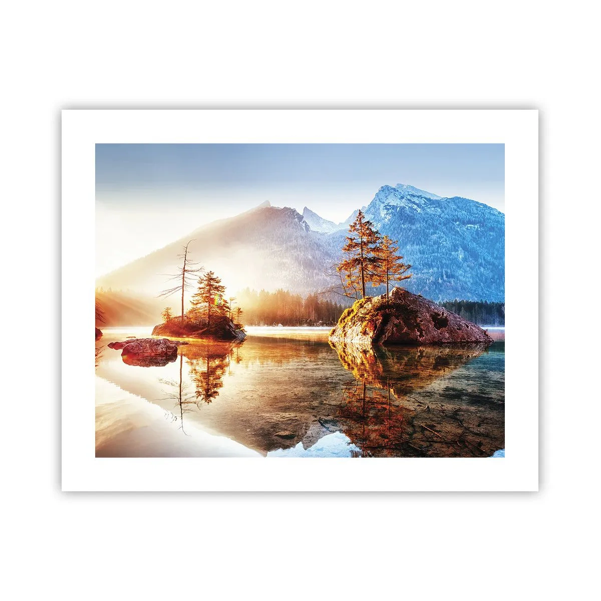 Poster - Natur in neuem Licht - 50x40 cm