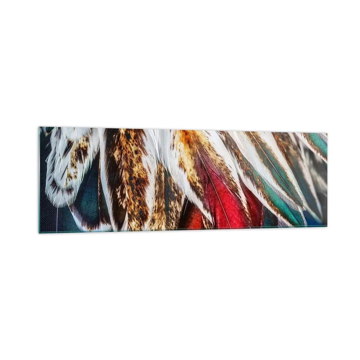 Glasbild - Bild auf glas - Nahaufnahme von mehrfarbigen Federn in leuchtenden, intensiven Farben - 160x50cm - Geheimnisse des Fliegens - Moderne Wanddekoration für Wohnzimmer und Schlafzimmer ARTTOR