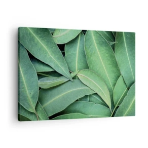Bild auf Leinwand - Leinwandbild - Nahaufnahme von grünen Blättern, die ein natürliches Muster erzeugen - 70x50cm - Saftig und frisch - Moderne Wanddekoration für Wohnzimmer und Schlafzimmer ARTTOR