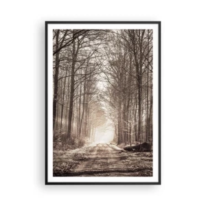 Poster in einem schwarzem Rahmen - Waldkathedrale - 70x100 cm