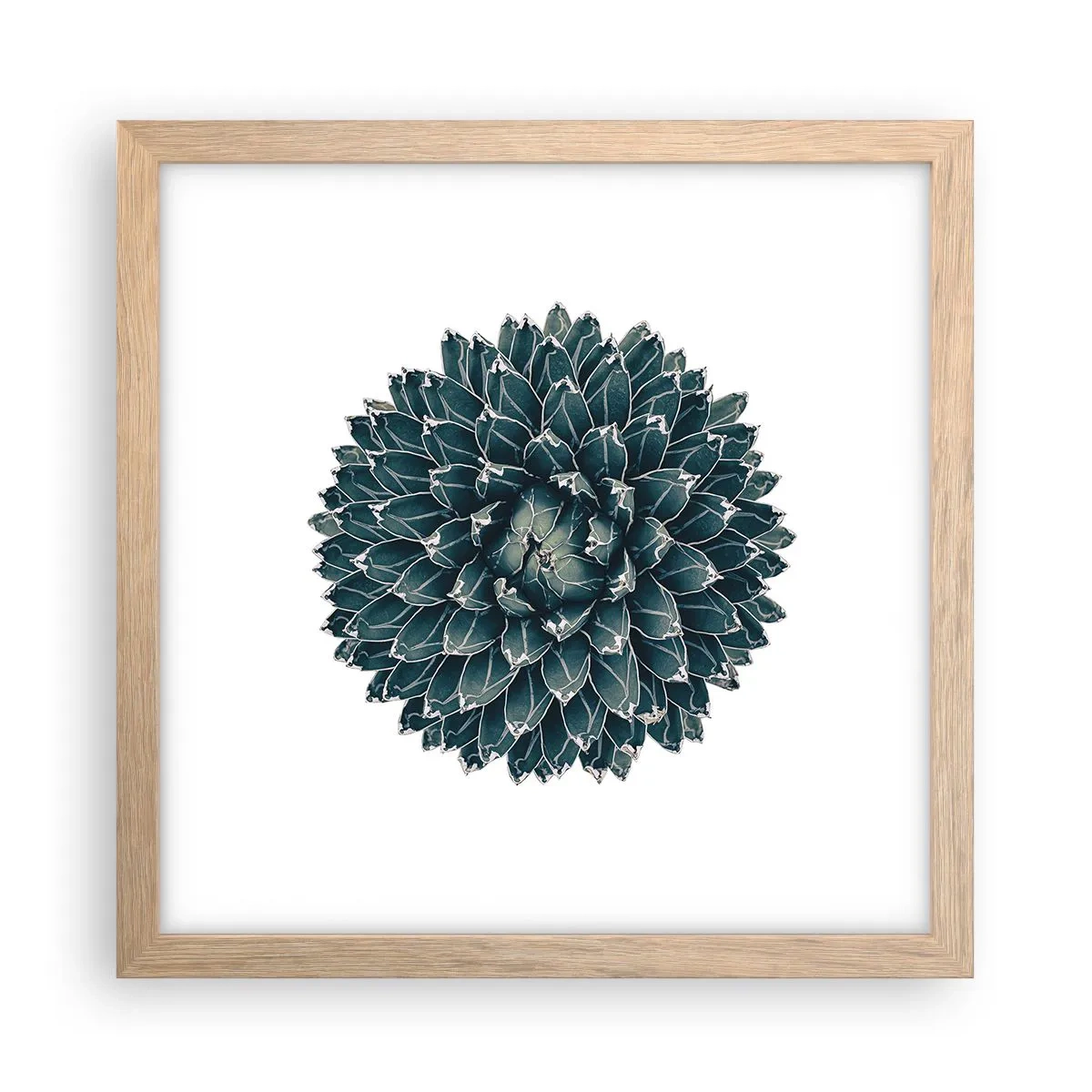 Poster in einem Rahmen aus heller Eiche - Stern der Wüste - 30x30 cm