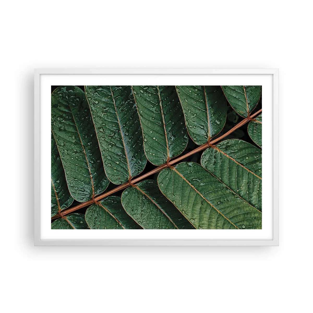 Poster in einem weißen Rahmen - Im grünen Rhythmus - 70x50 cm