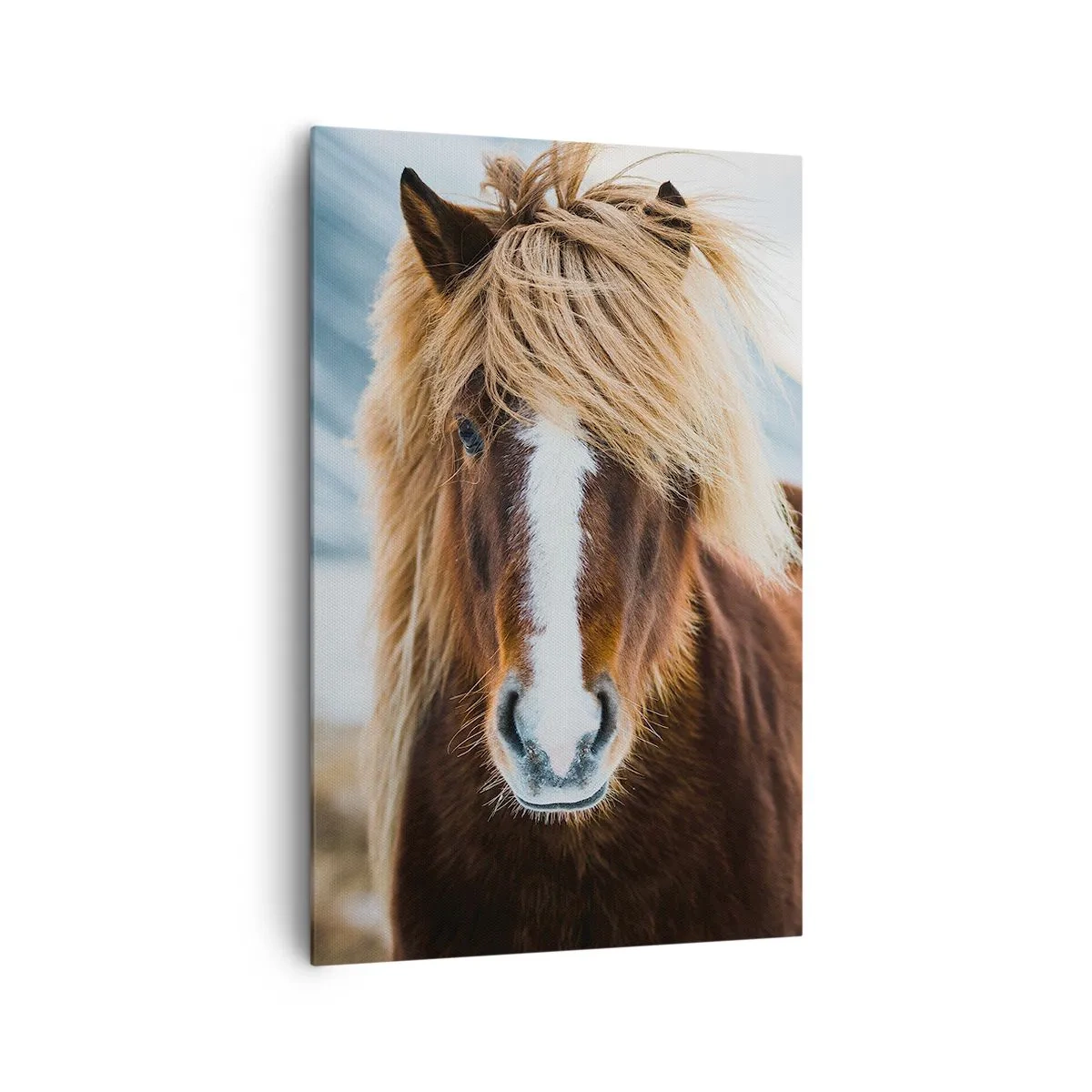 Bild auf Leinwand - Leinwandbild - Islandpferd vor einer Berglandschaft - 80x120cm - Spürst du die Freiheit? - Moderne Wanddekoration für Wohnzimmer und Schlafzimmer ARTTOR