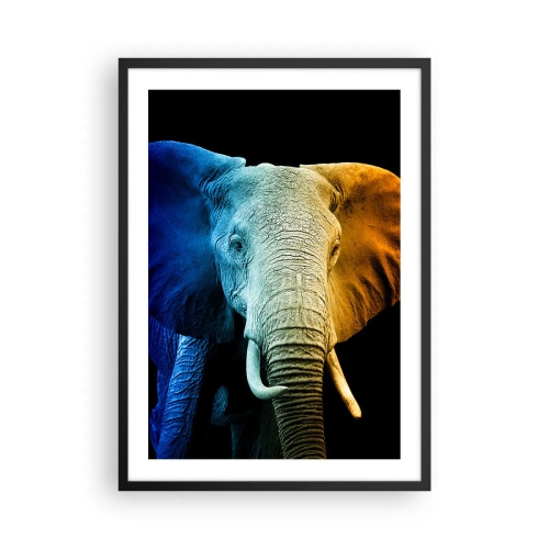 Poster in einem schwarzem Rahmen - Ein buntes Bild eines Elefanten auf schwarzem Hintergrund - 50x70cm - Exzentrisch, kein Verrückter - Moderne Wanddekoration für Wohnzimmer und Schlafzimmer ARTTOR