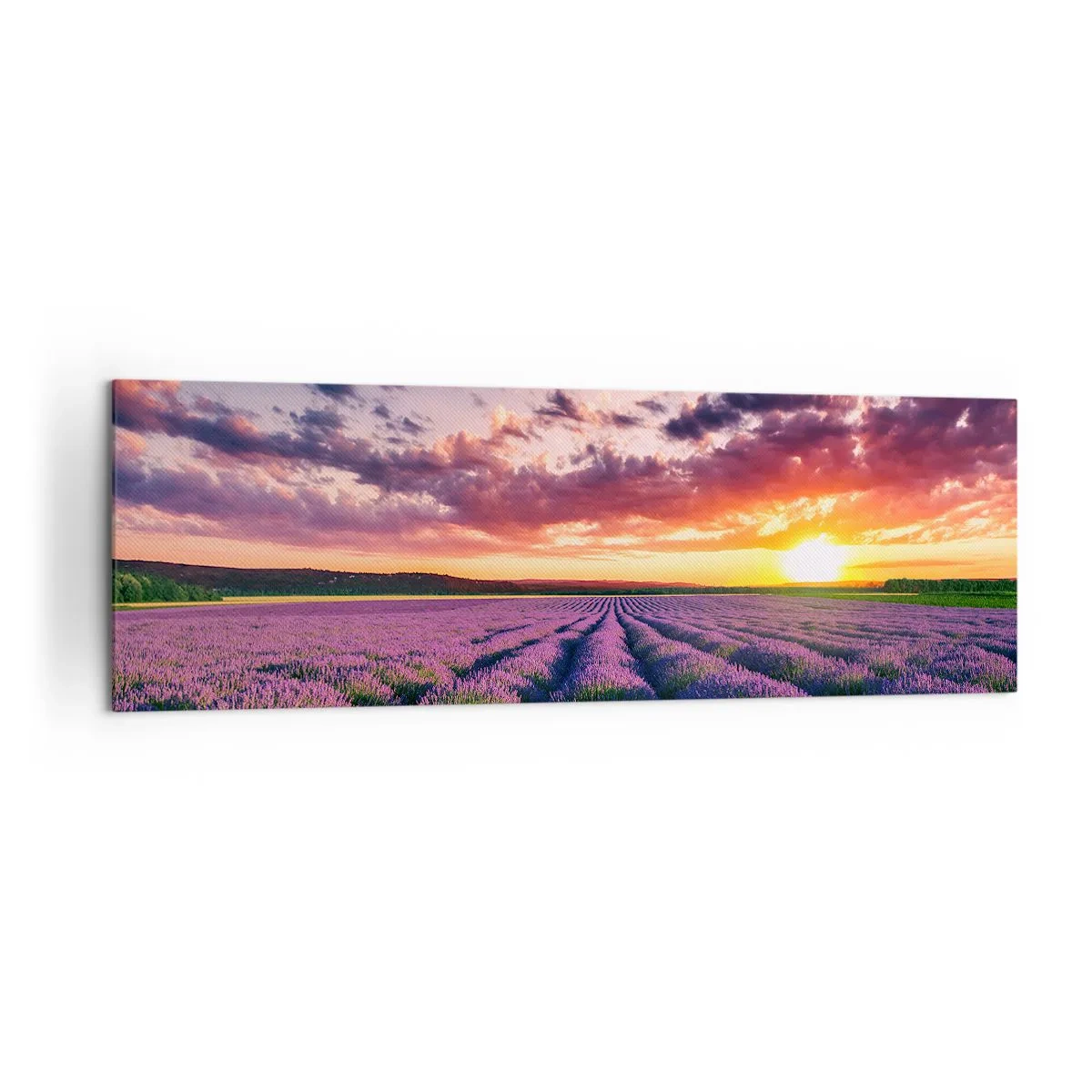 Bild auf Leinwand - Leinwandbild - Ein Lavendelfeld bei Sonnenuntergang mit einem farbenfrohen Himmel - 160x50cm - Lavendel Welt - Moderne Wanddekoration für Wohnzimmer und Schlafzimmer ARTTOR