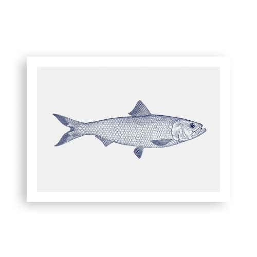 Poster - Grüße aus den nördlichen Meeren - 70x50 cm