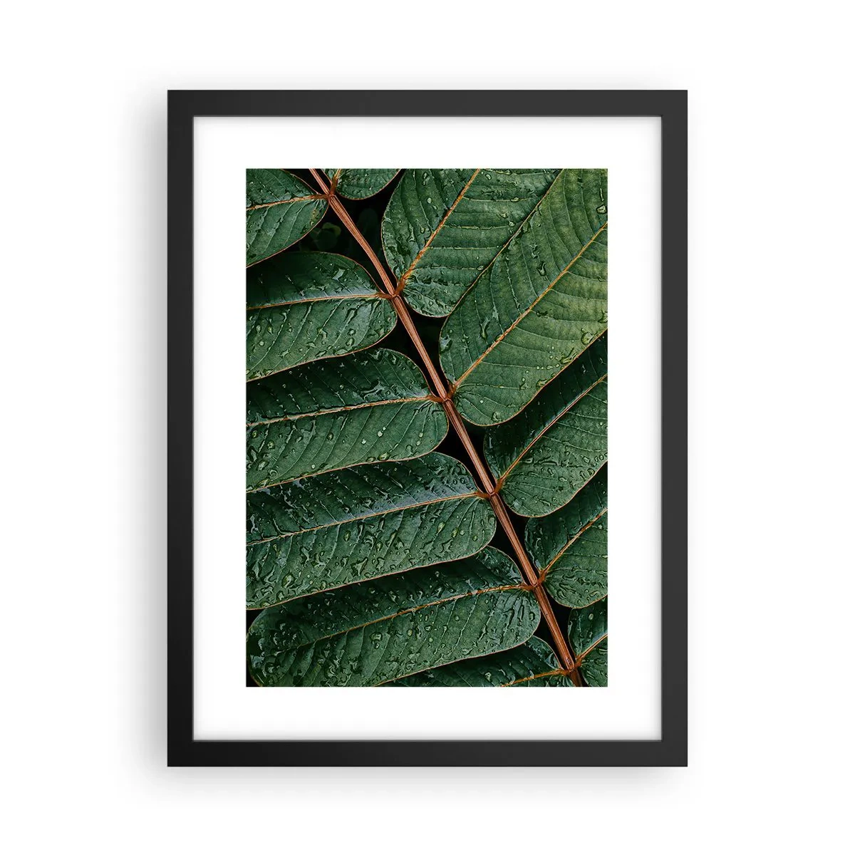 Poster in einem schwarzem Rahmen - Im grünen Rhythmus - 30x40 cm