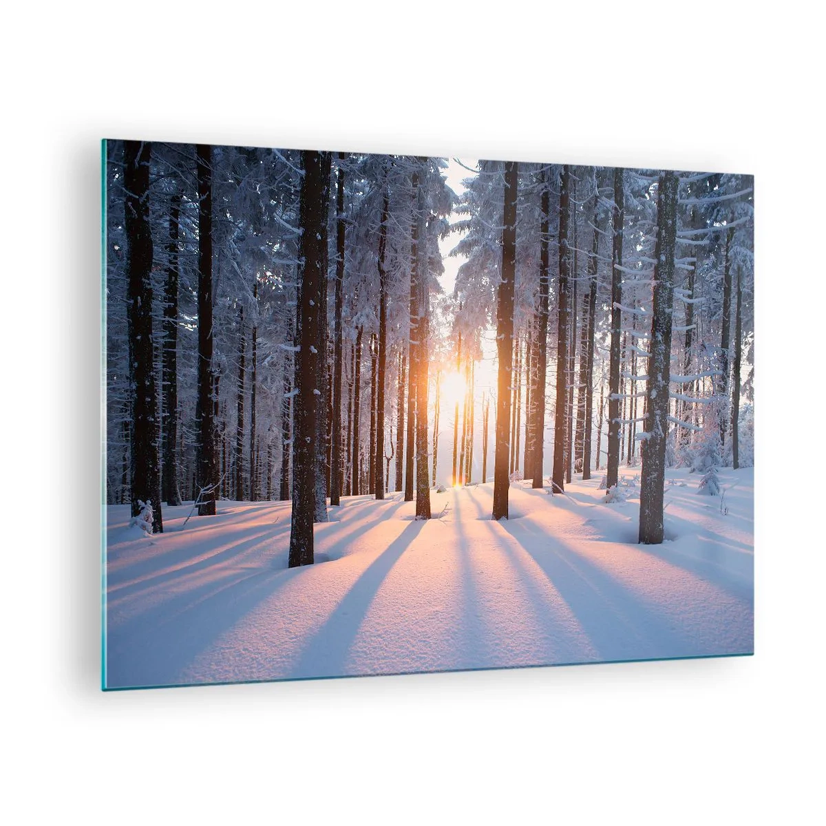 Glasbild - Bild auf glas - Winterwald mit Sonnenstrahlen, die durch die Bäume scheinen - 70x50cm - Ganz klar schwarz auf weiß - Moderne Wanddekoration für Wohnzimmer und Schlafzimmer ARTTOR