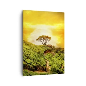 Bild auf Leinwand - Leinwandbild - Grüne Hügel mit Teeplantagen bei Sonnenuntergang - 50x70cm - Ein gewundener Weg, ein grüner Hang - Moderne Wanddekoration für Wohnzimmer und Schlafzimmer ARTTOR