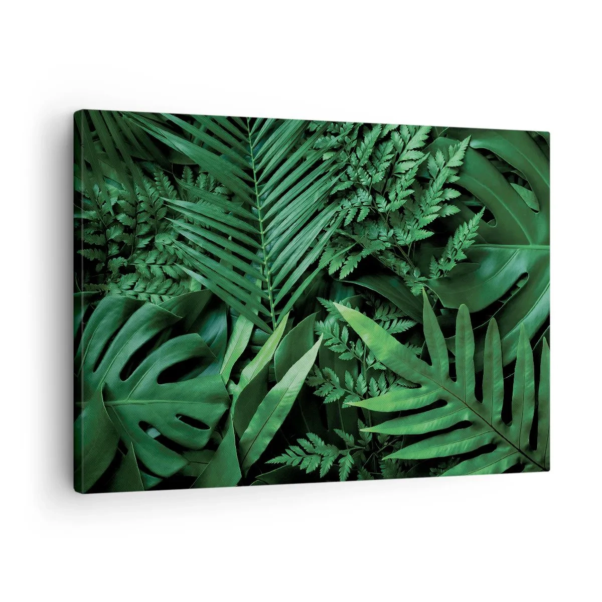 Bild auf Leinwand - Leinwandbild - Grüne tropische Blätter in einer dichten und natürlichen Komposition - 70x50cm - Eingebettet ins Grüne - Moderne Wanddekoration für Wohnzimmer und Schlafzimmer ARTTOR