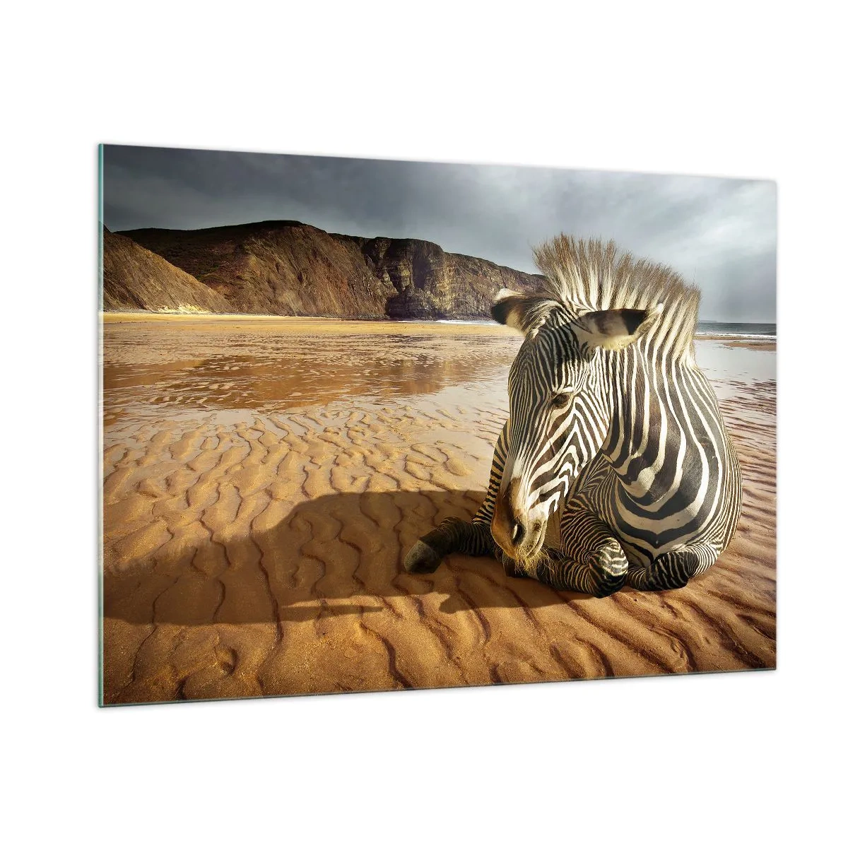 Glasbild - Bild auf glas - Ein Zebra ruht sich bei Sonnenuntergang am Strand aus - 100x70cm - Wir passen zusammen - Moderne Wanddekoration für Wohnzimmer und Schlafzimmer ARTTOR