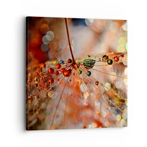 Bild auf Leinwand - Leinwandbild - Auf einem Spinnenfaden aufgefädelt - 30x30 cm