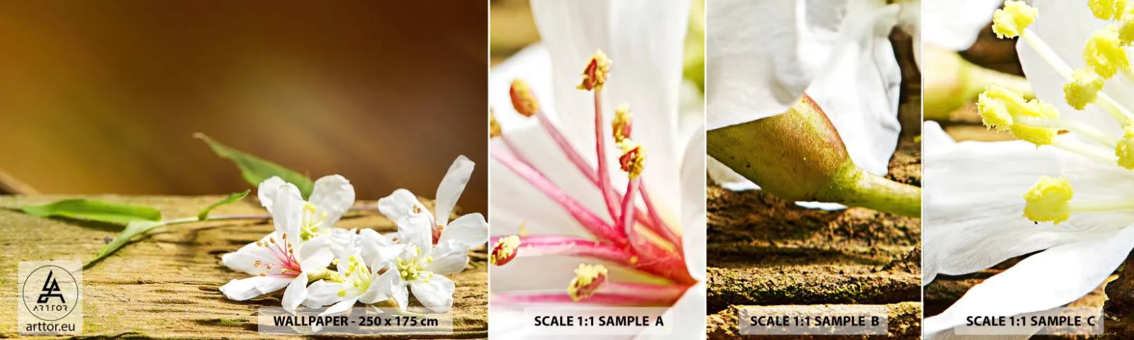 Fototapeten Muster Selbstklebend Deluxe Sticker - Ein unschuldiges Versprechen - Blumen, Bambus, Spa - 100x30 cm