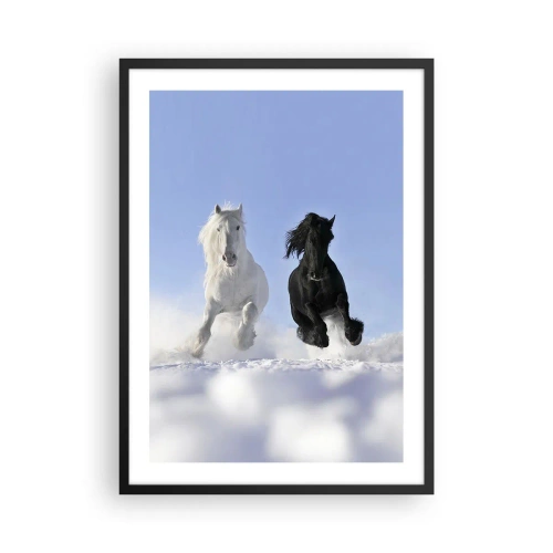 Poster in einem schwarzem Rahmen - Ein weiß-schwarzes Pferd galoppiert im Schnee - 50x70cm - Schwarz-Weiß-Galopp - Moderne Wanddekoration für Wohnzimmer und Schlafzimmer ARTTOR