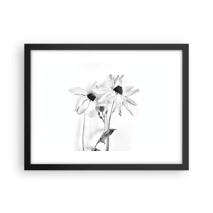 Poster in einem schwarzem Rahmen - Niemand will allein sein - 40x30 cm