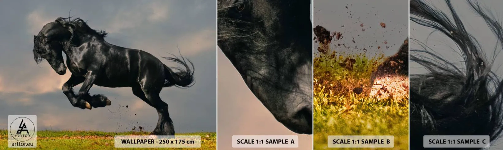 Fototapetenmuster Standard Eco - Schön und frei - Tiere, Pferd, Landschaft - 100x30 cm