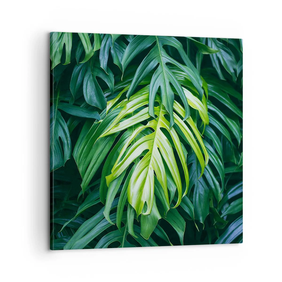 Bild auf Leinwand - Leinwandbild - Tauchen Sie ein in die Frische - 60x60 cm