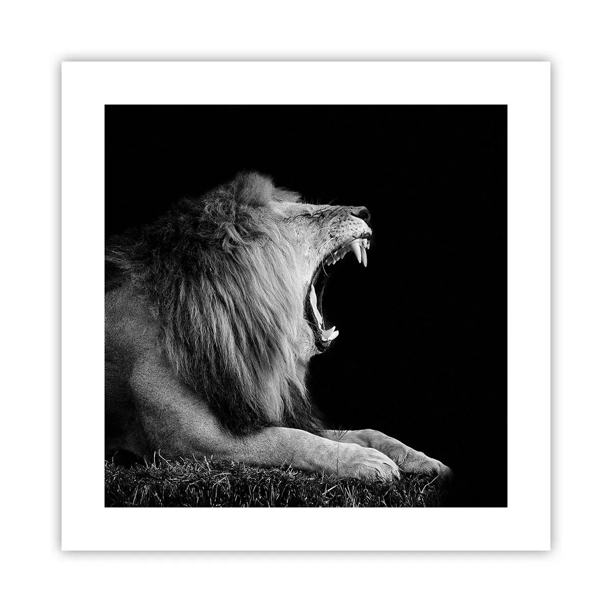 Poster - Ohne Zweifel - 40x40 cm