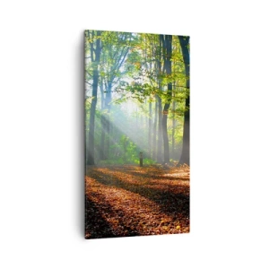 Bild auf Leinwand - Leinwandbild - Licht und Schatten - 45x80 cm