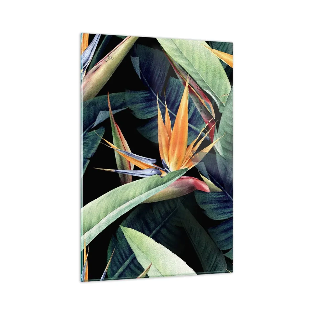 Glasbild - Bild auf glas - Tropische Blumen und Blätter auf schwarzem Hintergrund - 80x120cm - Flammende Blumen der Tropen - Moderne Wanddekoration für Wohnzimmer und Schlafzimmer ARTTOR