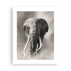 Poster - Afrikanischer Patriarch - 40x50 cm