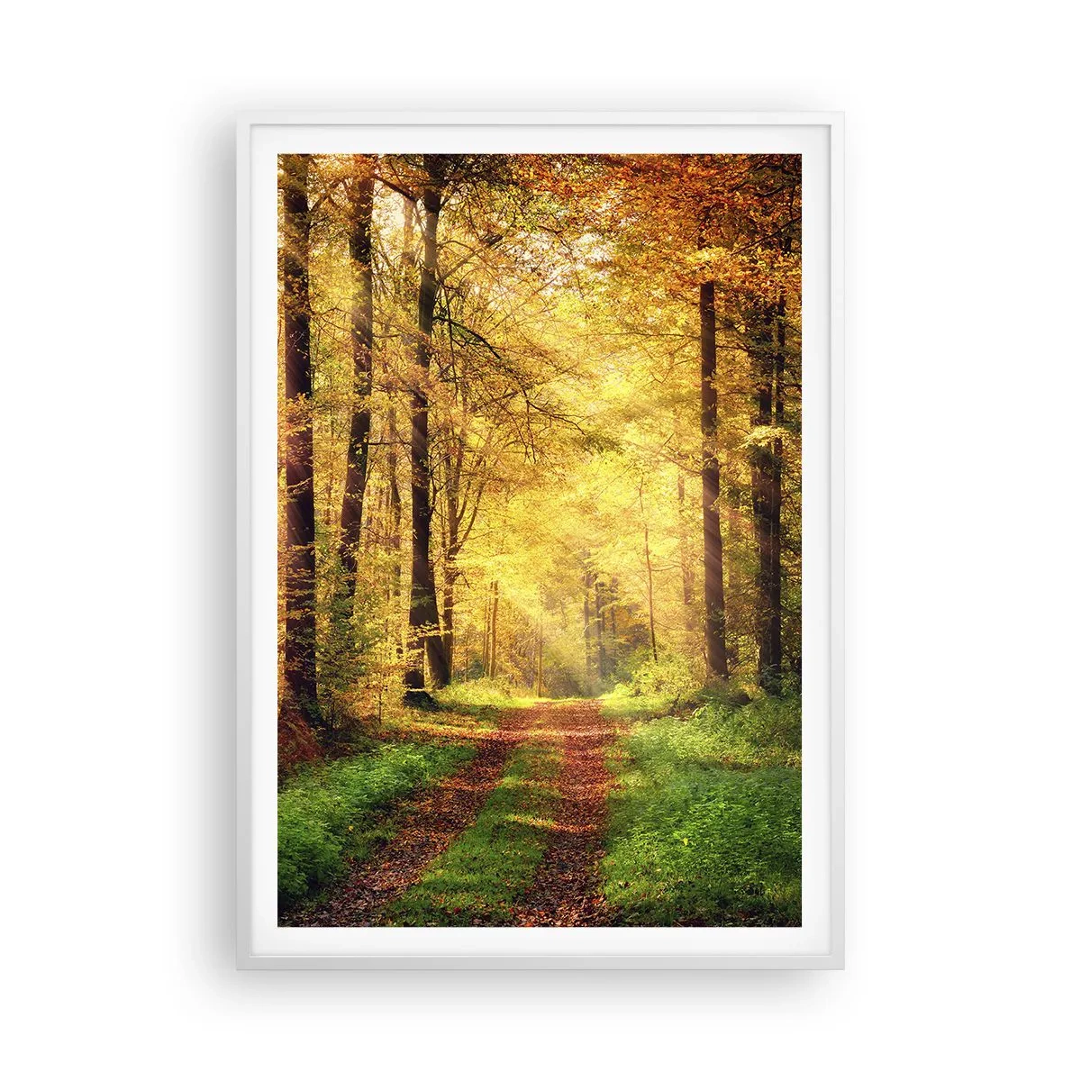 Poster in einem weißen Rahmen - Waldgoldene Stille - 70x100 cm