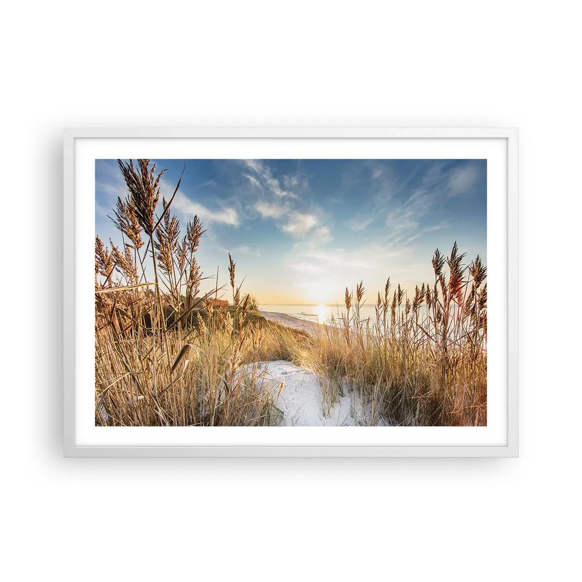 Poster in einem weißen Rahmen - Nordstrand - 70x50 cm