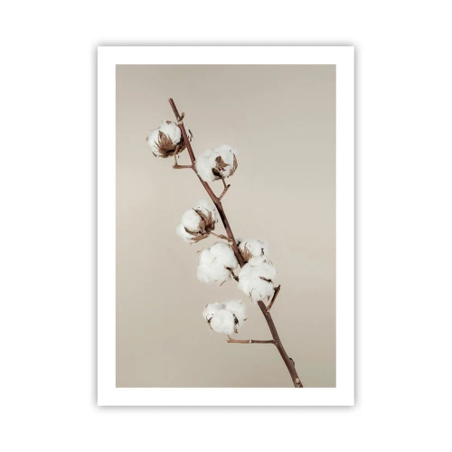 Poster - Ein Baumwollzweig auf beigem Hintergrund, im minimalistischen Stil. - 50x70cm - An der Quelle der Weichheit - Moderne Wanddekoration für Wohnzimmer und Schlafzimmer ARTTOR