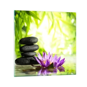 Glasbild - Bild auf glas - In einem Bambusbusch - 70x70 cm