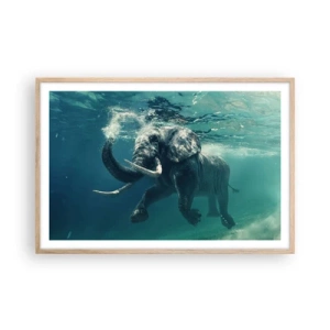 Poster in einem Rahmen aus heller Eiche - Jeder schwimmt gerne - 91x61 cm