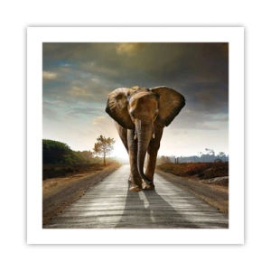 Poster - Und schon gar nicht in einem Porzellanlager - 50x50 cm