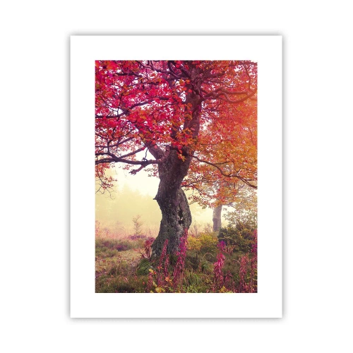 Poster - Blühende Raserei - 30x40 cm