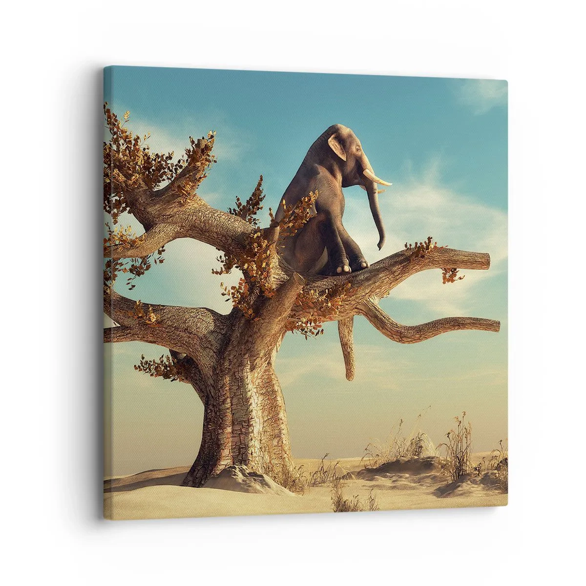 Bild auf Leinwand - Leinwandbild - Ein neuer Standpunkt - 30x30 cm