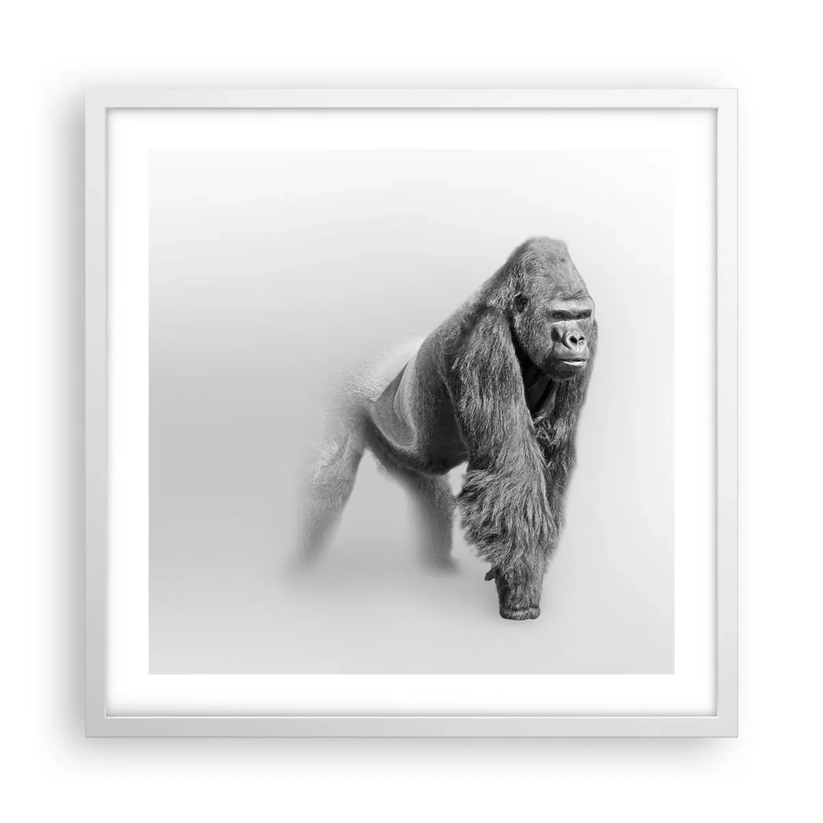 Poster in einem weißen Rahmen - Zuversichtlich in seiner Stärke - 50x50 cm