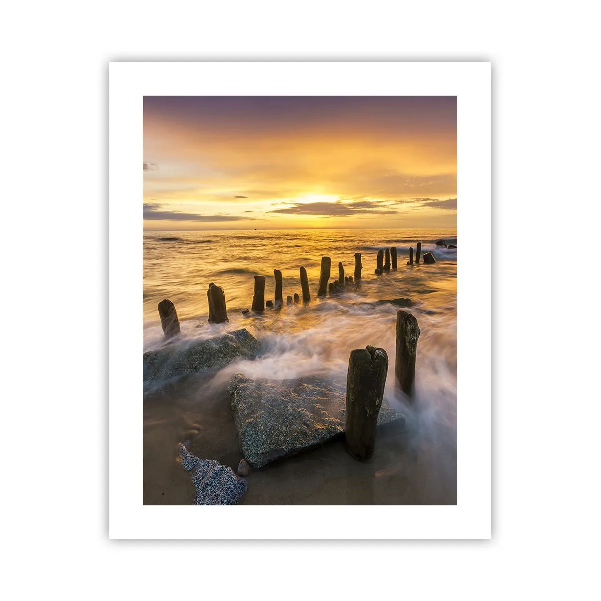 Poster - Die raue Schönheit der Ostsee - 40x50 cm