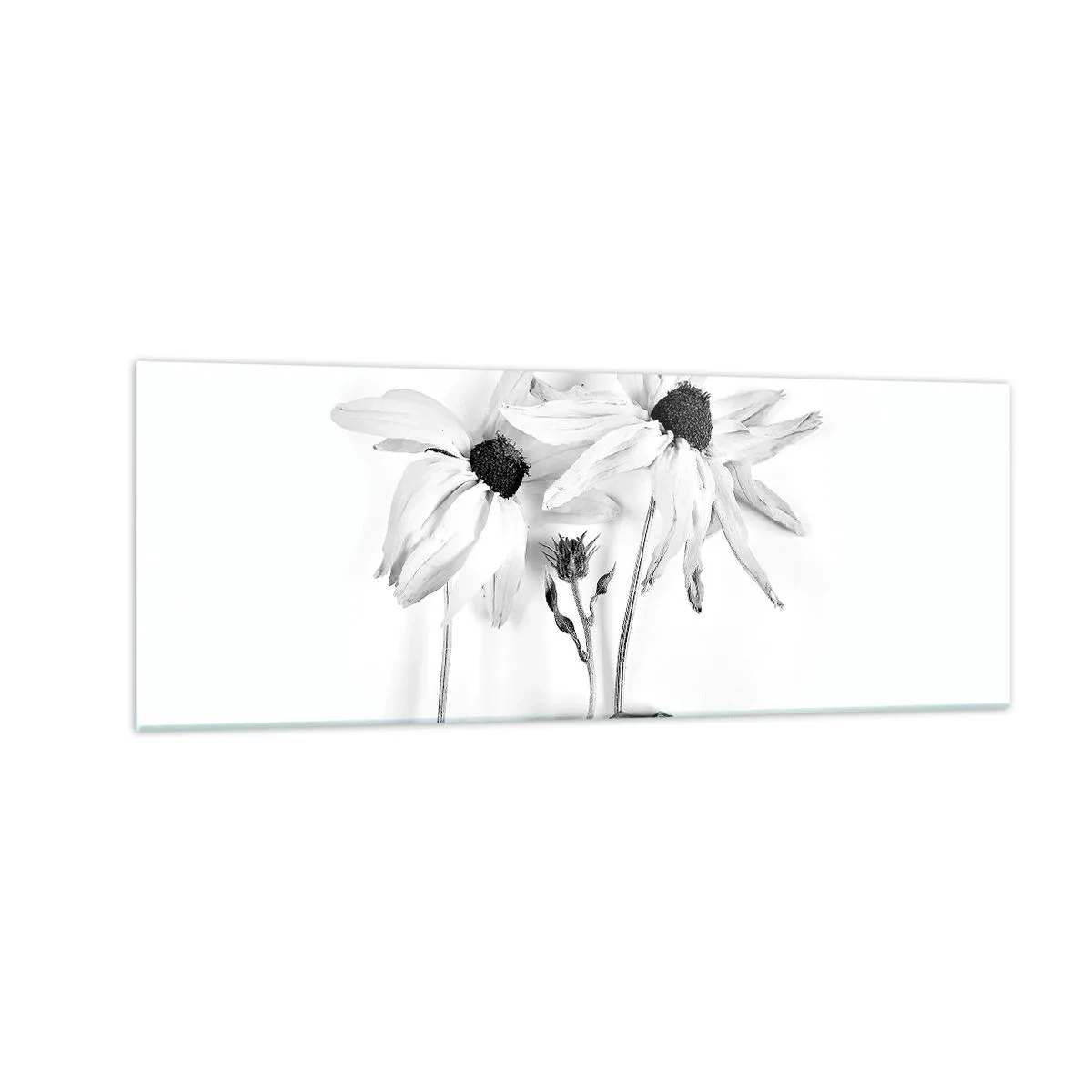 Glasbild - Bild auf glas - Schwarz-weiße Blumen mit subtiler Komposition - 140x50cm - Niemand will allein sein - Moderne Wanddekoration für Wohnzimmer und Schlafzimmer ARTTOR