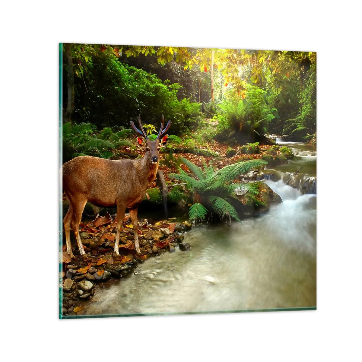 Glasbild - Bild auf glas - Willkommen in meiner Welt - 70x70 cm