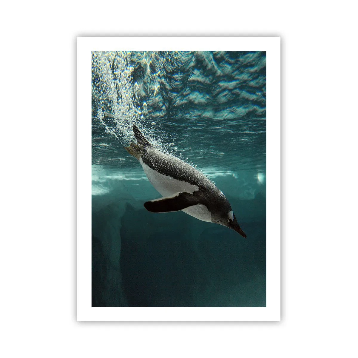 Poster - Ein Pinguin schwimmt unter Wasser - 50x70cm - Willkommen in meiner Welt - Moderne Wanddekoration für Wohnzimmer und Schlafzimmer ARTTOR