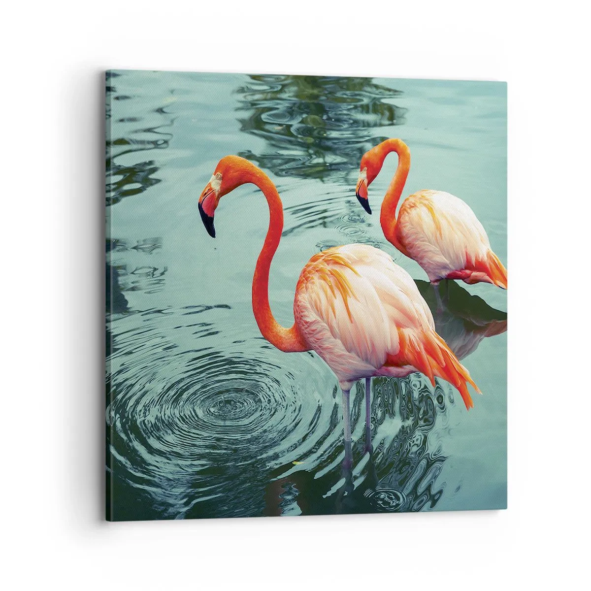 Bild auf Leinwand - Leinwandbild - Wir sind jetzt in Mode - 70x70 cm