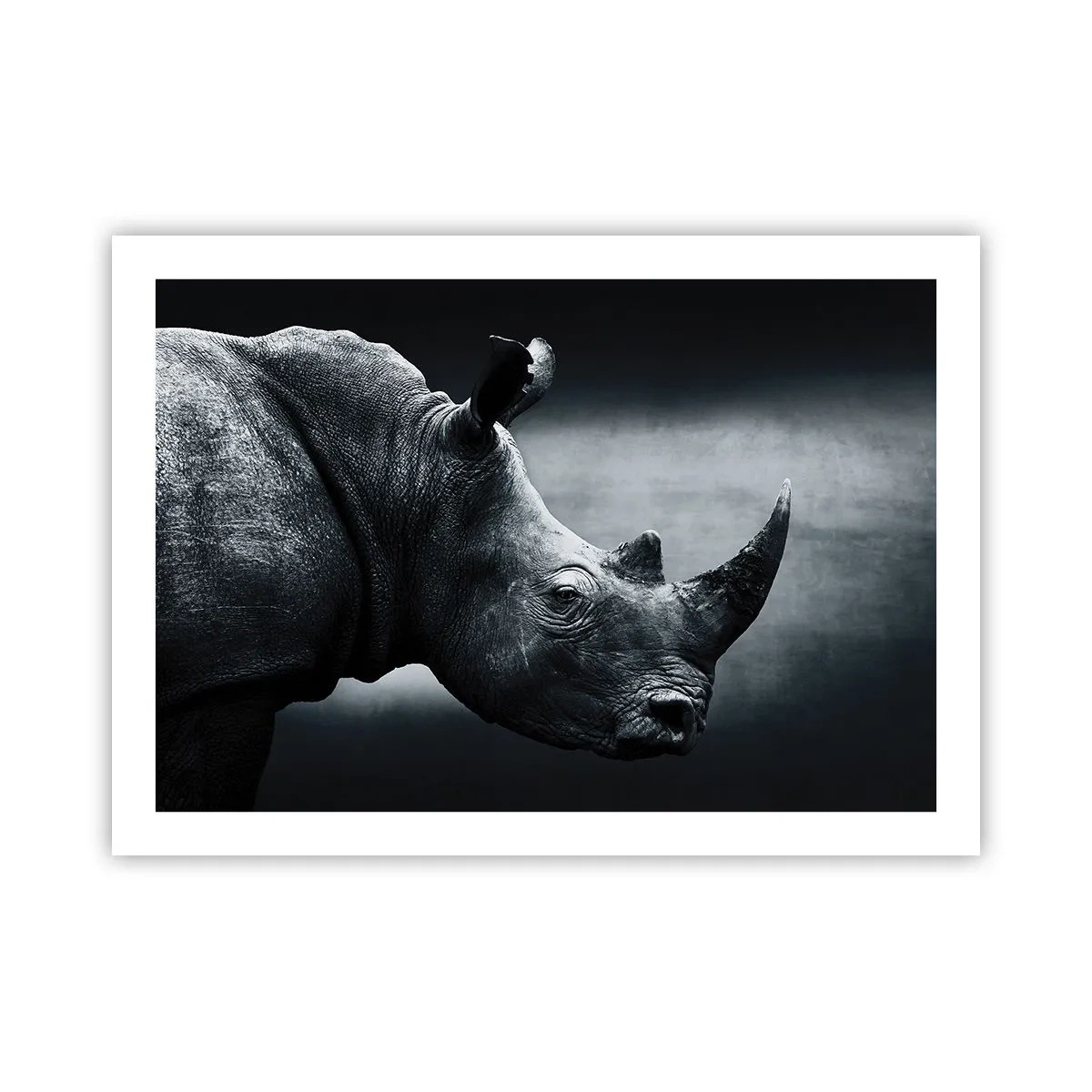 Poster - Richtiges Profil - 70x50 cm