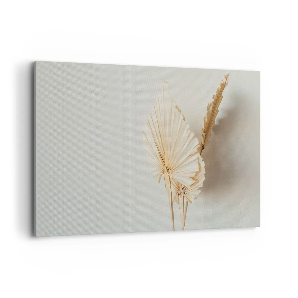 Bild auf Leinwand - Leinwandbild - Getrocknete Palmblätter in minimalistischem Arrangement - 120x80cm - Wenn Sie Erleichterung brauchen - Moderne Wanddekoration für Wohnzimmer und Schlafzimmer ARTTOR