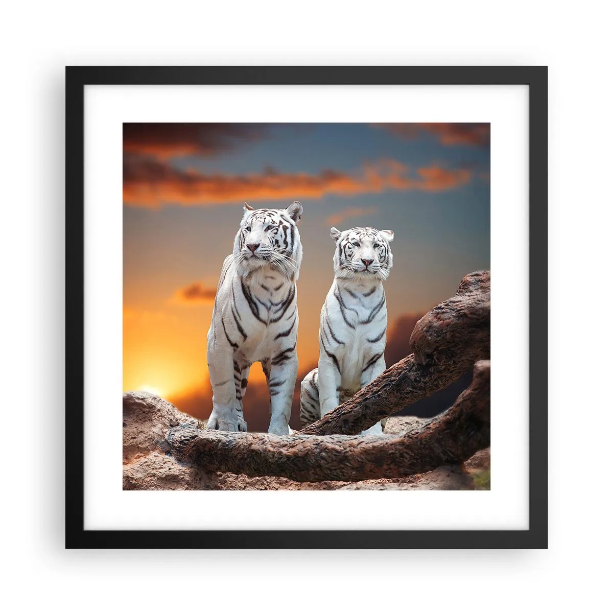 Poster in einem schwarzem Rahmen - Genau wie Narnia - 40x40 cm