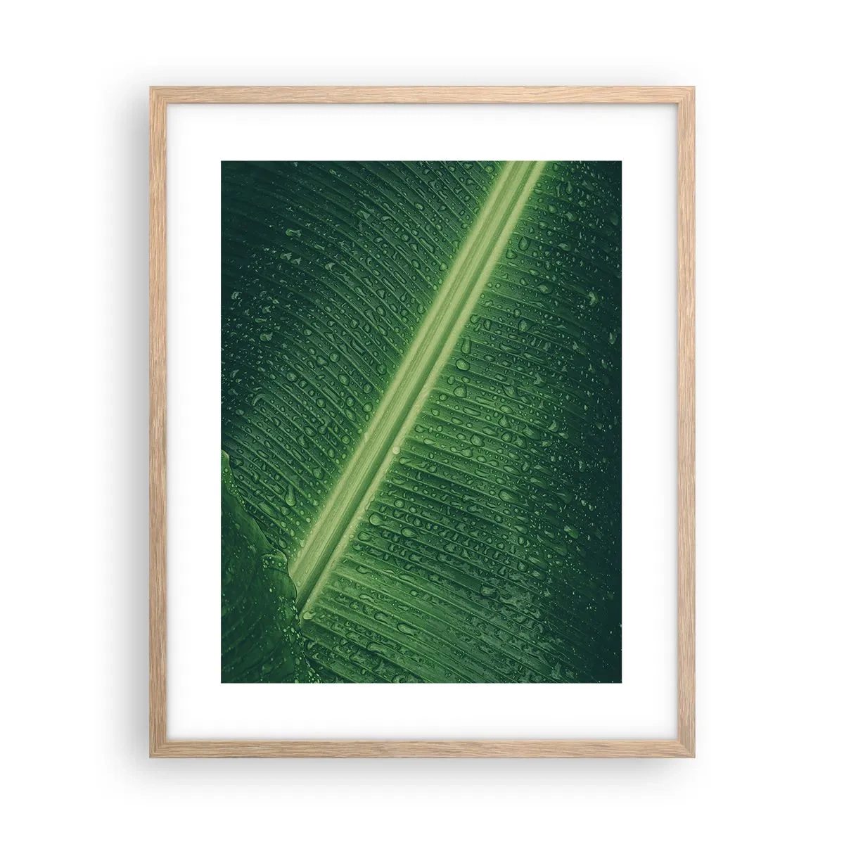 Poster in einem Rahmen aus heller Eiche - Die Struktur des Grüns - 40x50 cm