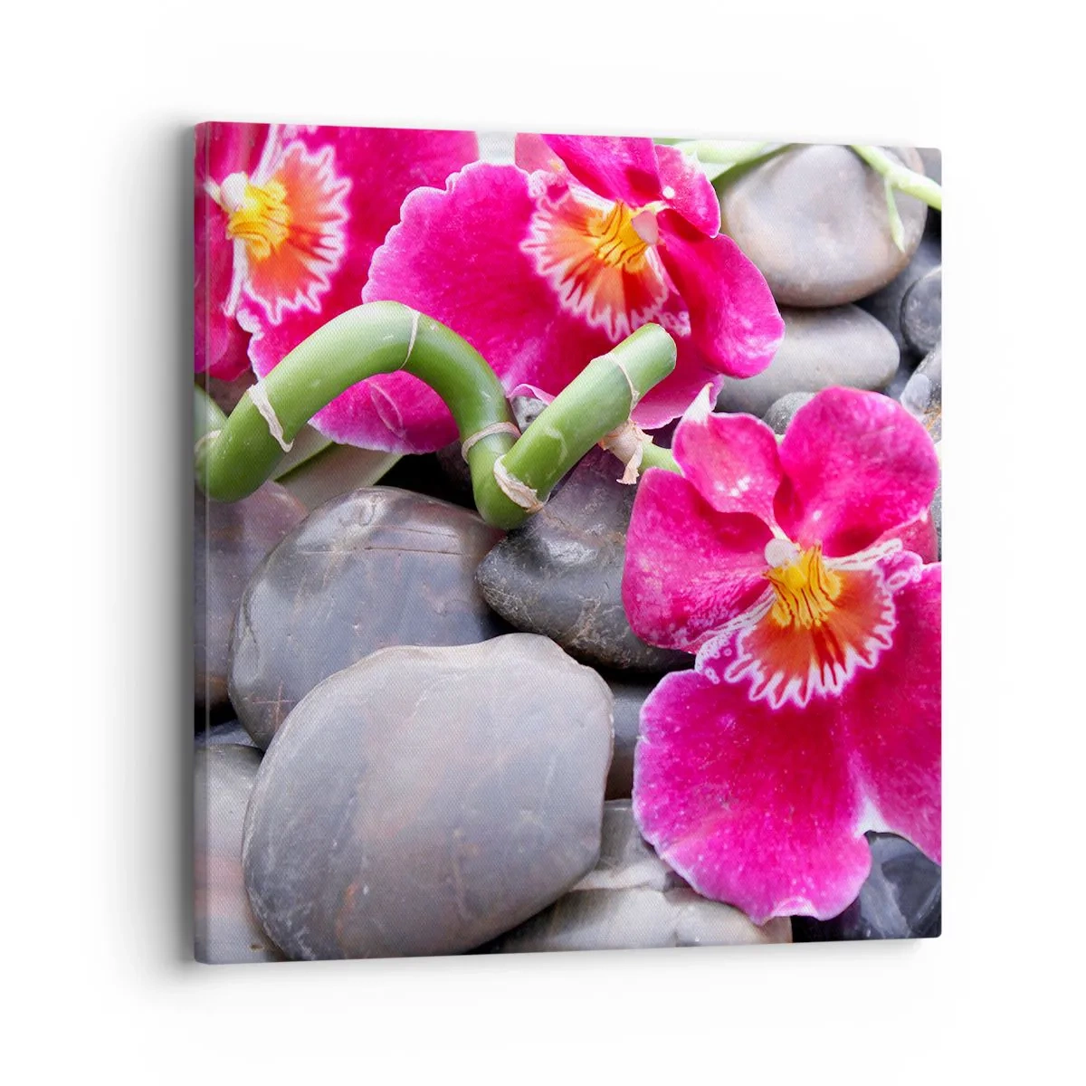 Bild auf Leinwand - Leinwandbild - Kühlen und erhitzen - 40x40 cm